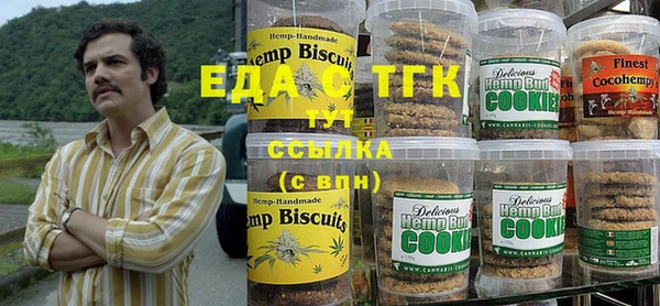 тгк Абаза