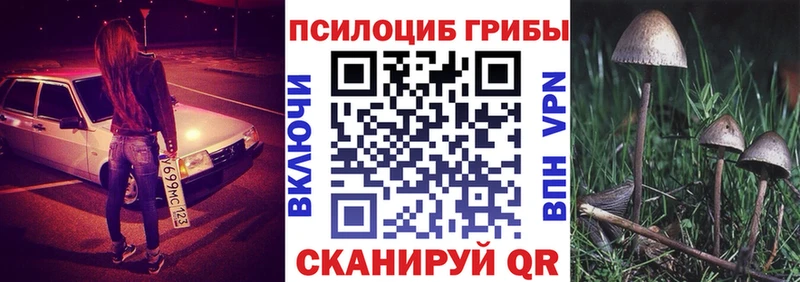 Псилоцибиновые грибы Psilocybine cubensis  сколько стоит  Никольск 