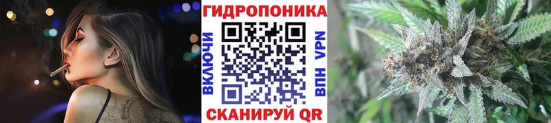 Бошки Шишки MAZAR  что такое   Никольск 